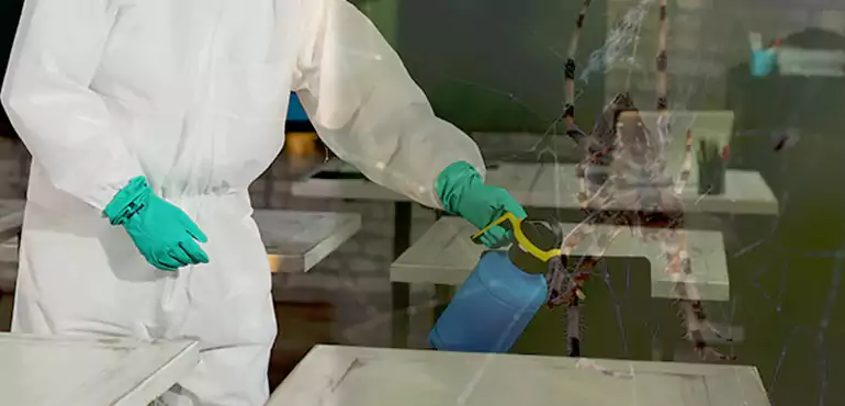 Why Buyers Still Want Homes With Pest Infestations in Queens, NY?