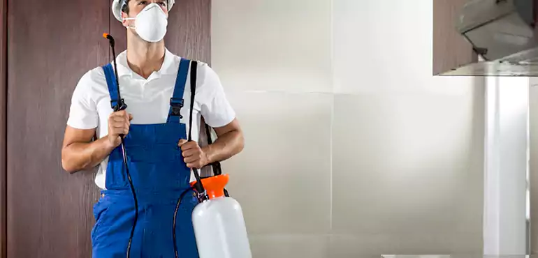 Why Queens Homeowners Choose Us When Pests Make Selling Difficult
