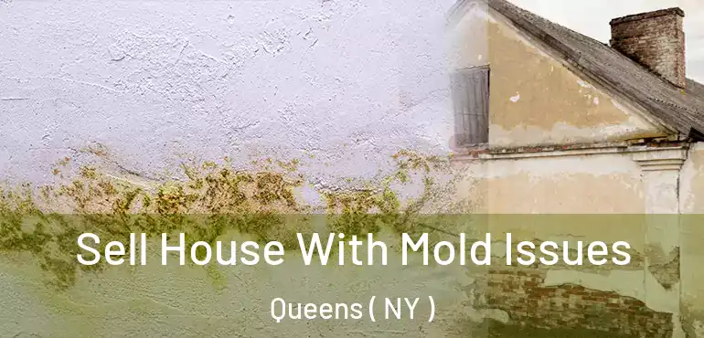  Sell House With Mold Issues Queens ( NY )